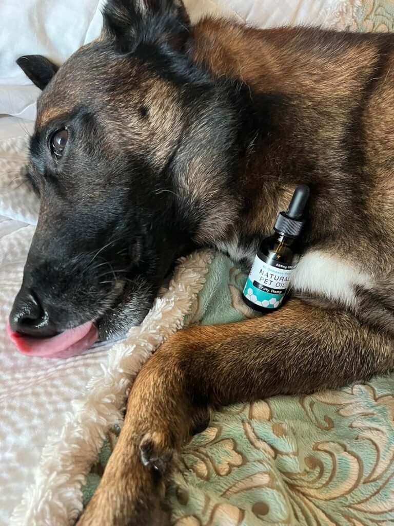 Natural Pet Oil Special Blend True Natural Oils